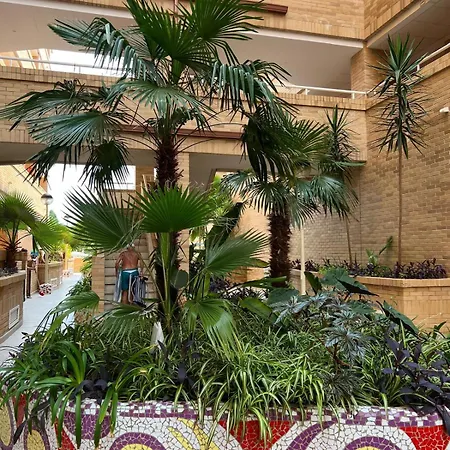 Marina D'or Playa Les Amplaries Oropesa