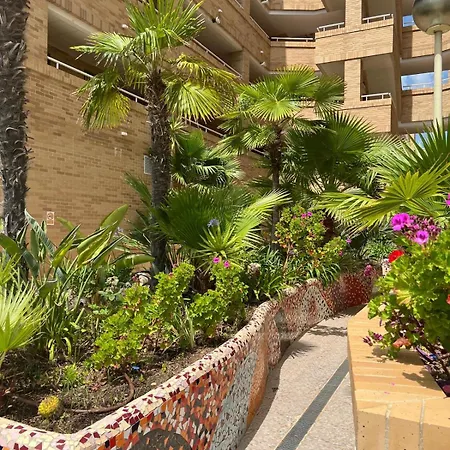Apartment Marina D'or Playa Les Amplaries Oropesa El Borseral