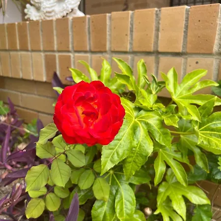 Marina D'or Playa Les Amplaries Oropesa El Borseral